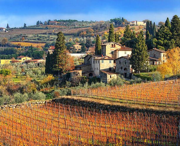 istock Tuscan landscape with vineyards 529729233