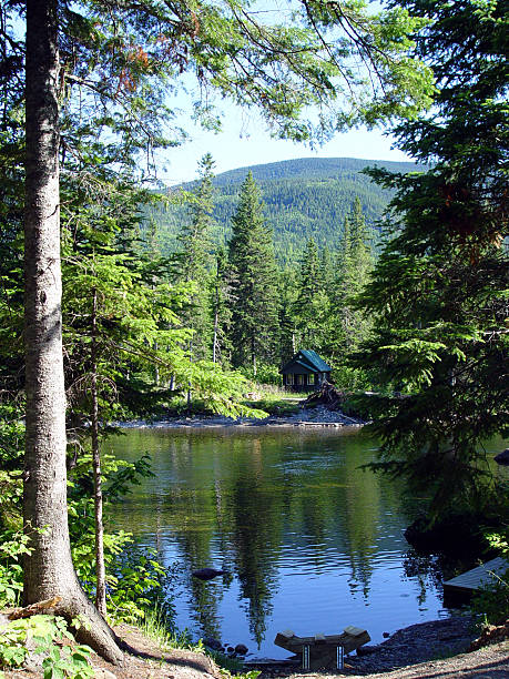 istock Little house in Canada 529729399