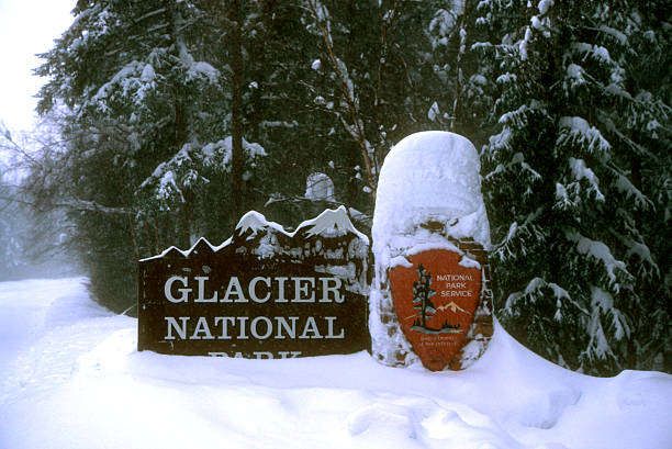 istock Entrance to Glacier National Park 529743261