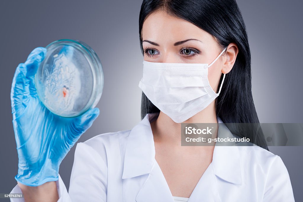 Making the analyze Confident female doctor in white uniform holding Petri dish and looking at it while standing against grey background Adult Stock Photo