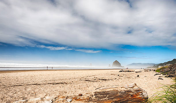 istock Clearing Skies At Tolovana Beach 529749049