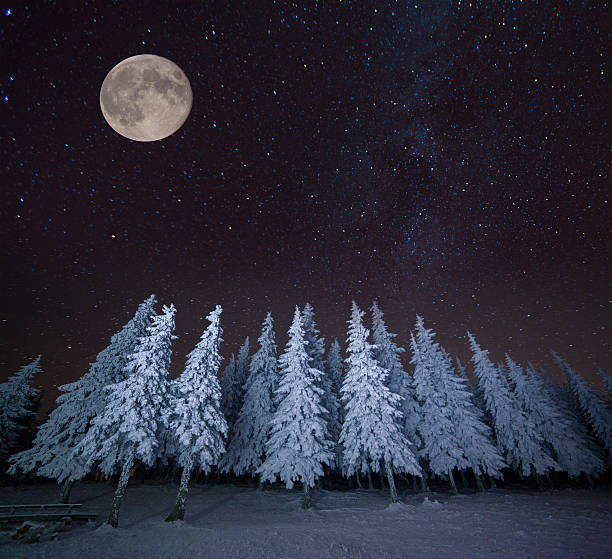 istock Dairy Star Trek in the winter woods 529769797
