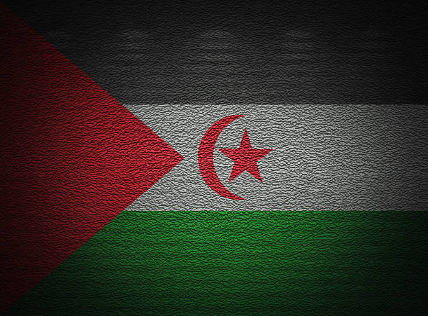 SADR flag wall, abstract grunge background