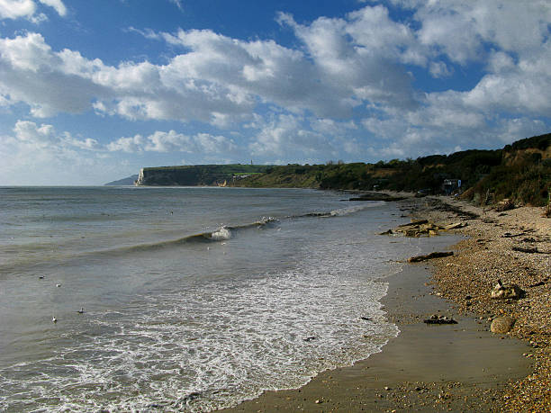 istock Isle of Wight coastline 529772245