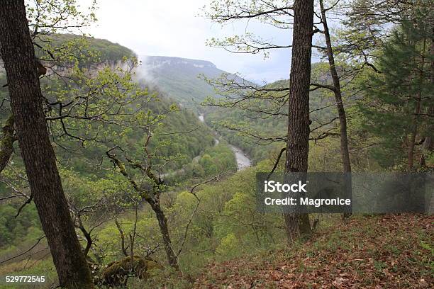 River View Stock Photo - Download Image Now - Adygea, Branch - Plant Part, Fog