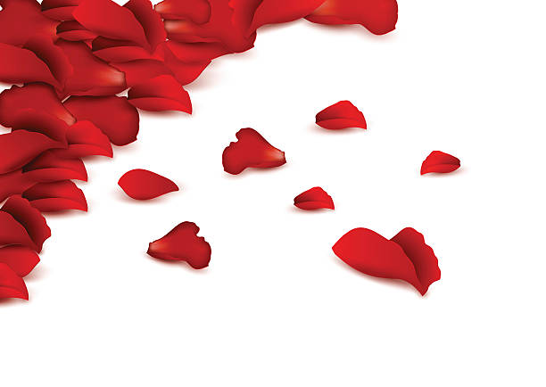 istock Background of rBackground of red rose petals. 529773007