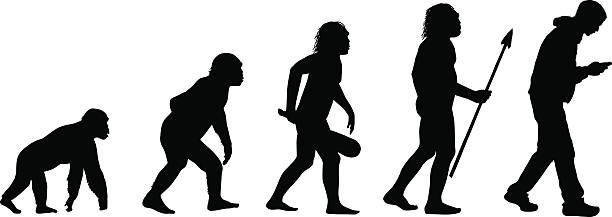 illustrations, cliparts, dessins animés et icônes de l'évolution des sms - primate