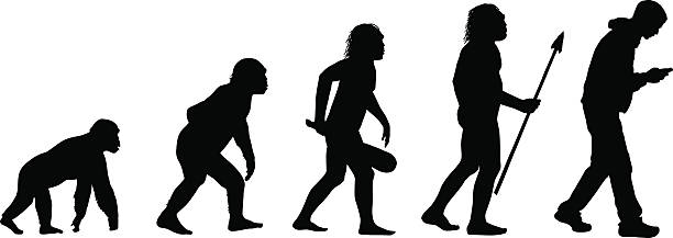 Evolution of the Texting Human Evolution of a human man texting with a smart phone vector illustrations. From chimp to caveman to human. technology creation stock illustrations