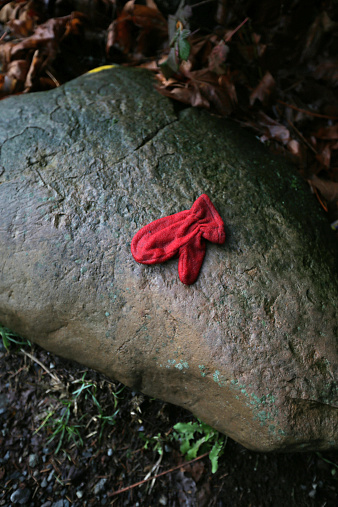 Lost Red Mitten on a Rock in Canada.