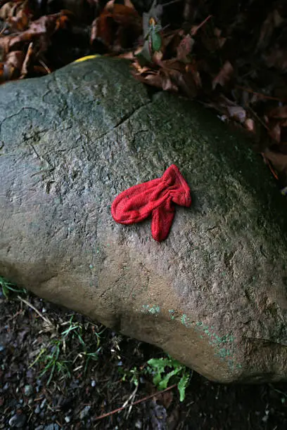 Photo of Lost Red Mitten on a Rock in British Columbia, Canada