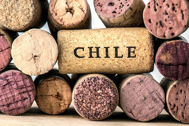 botella de vino del corks de chile - vinos chilenos fotografías e imágenes de stock