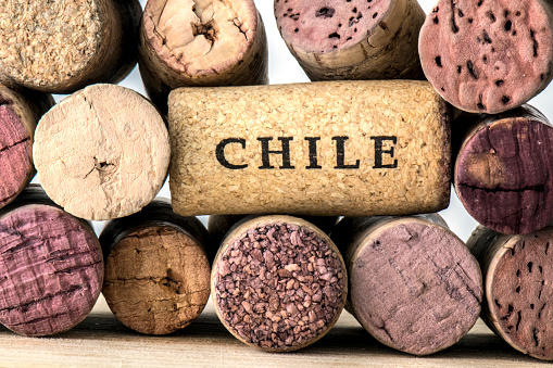 one cork of a wine bottle of Chile, surrounded by many corks