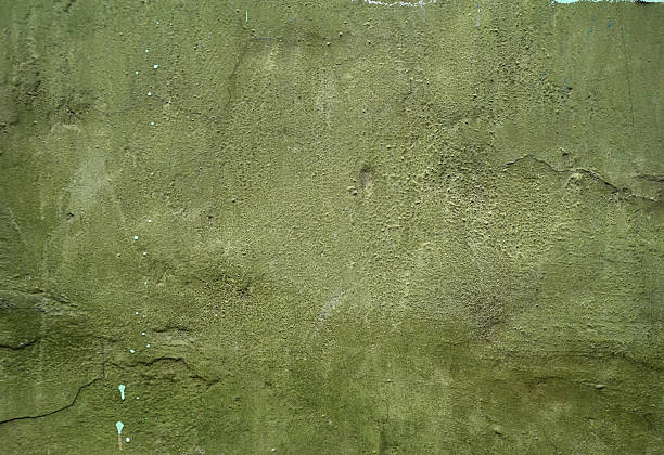 istock Texture of old wall covered with green stucco 529785273