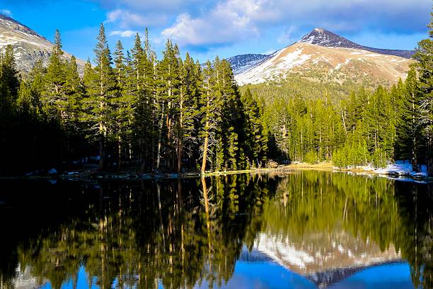 istock Yosemite National Park 529786307