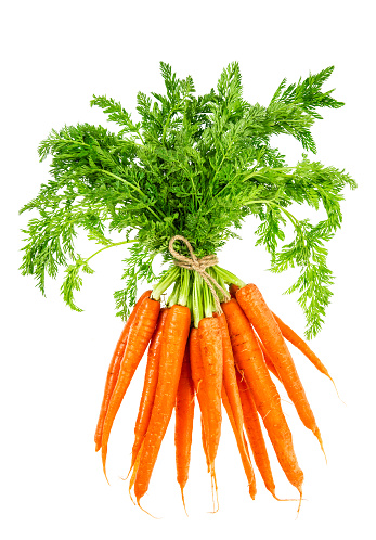 Fresh carrots with green leaves isolated on white background. Vegetable. Food