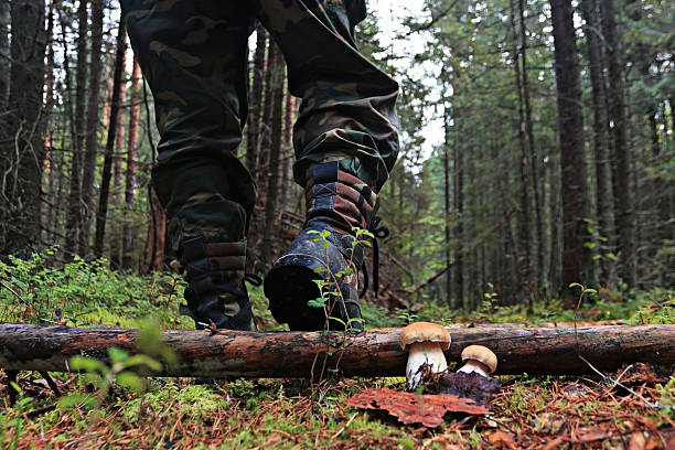 istock feet in shoes autumn forest hike 529786851