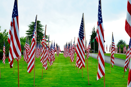 Flags in memory of those who have lost their lives in war. 