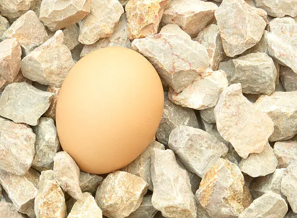 Chicken-egg on gravel,closeup. 