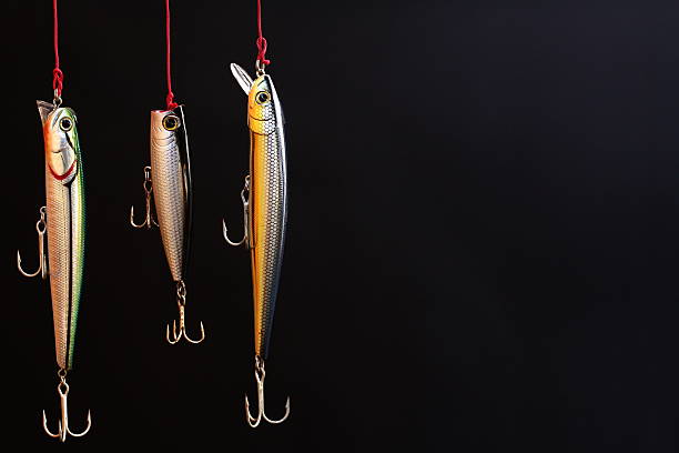 istock Three Fishing Lures 529790753