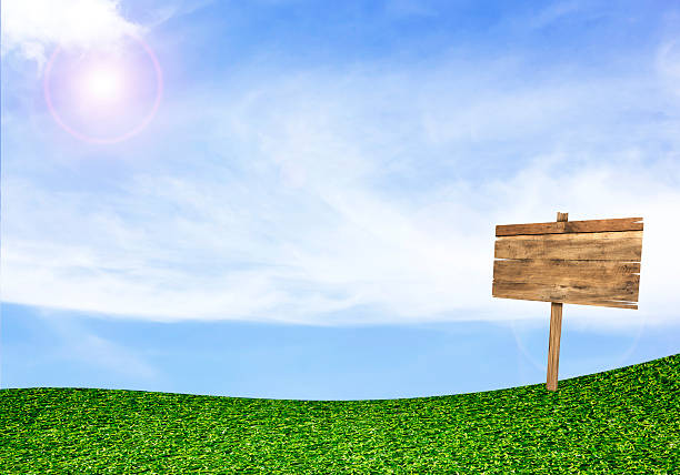 istock wood sign on green field under blue sky background 529800179