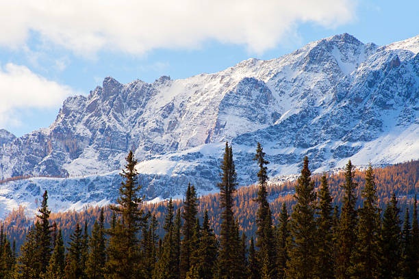 istock Canadian Rockies 529800447