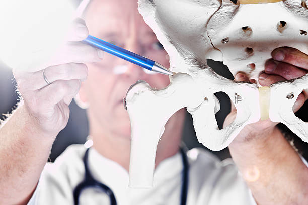 Doctor pointing at hip joint A male doctor, pointing at the plastic model of a human hip joint. XXL size image. pain points stock pictures, royalty-free photos & images