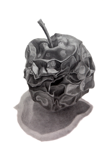 Pencil Drawing Of A Rotten Apple With Shadow Stock Illustration ...