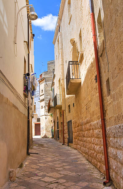 istock Alleyway. Altamura. Puglia. Italy. 529804983