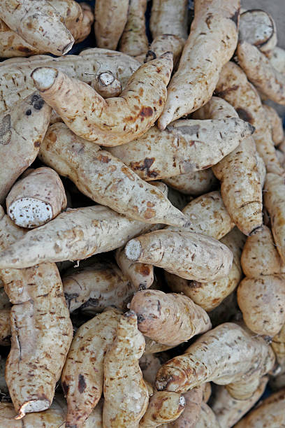 istock White Sweet potatoes for sell 529805701