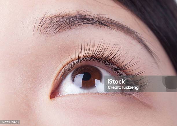 Woman Eye Stock Photo - Download Image Now - Adult, Beautiful People, Beautiful Woman