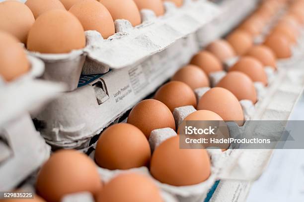 Brown Eggs Stock Photo - Download Image Now - Animal Egg, Egg - Food, Carton