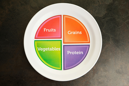 A US Department of Agriculture food portion plate. Similar to a food pyramid diagram the graphic shows what amount of each food type should be served and eaten. These plates are becoming popular at schools and restaurants to make an impression on child eating habits.