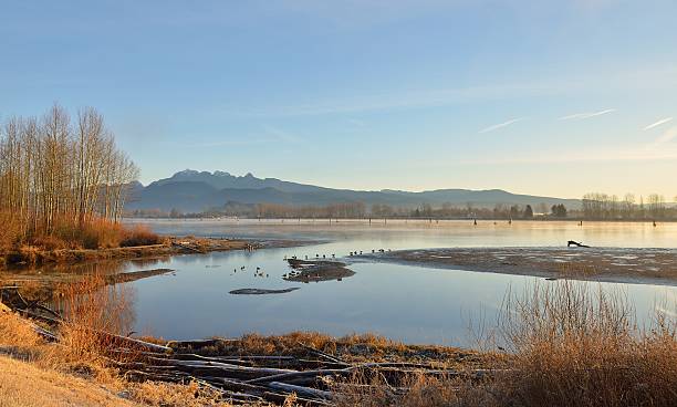 Pitt River and Golden Ears Mountain at sunrise stock photo