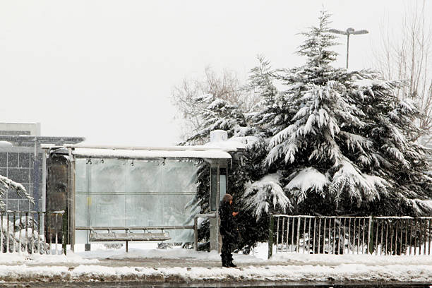 Young women waiting on the bus stop on snowy day