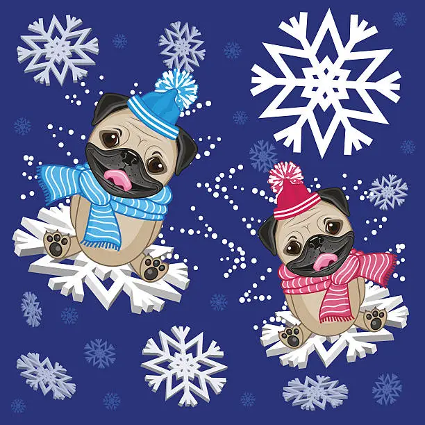 Vector illustration of Two Pug Dogs