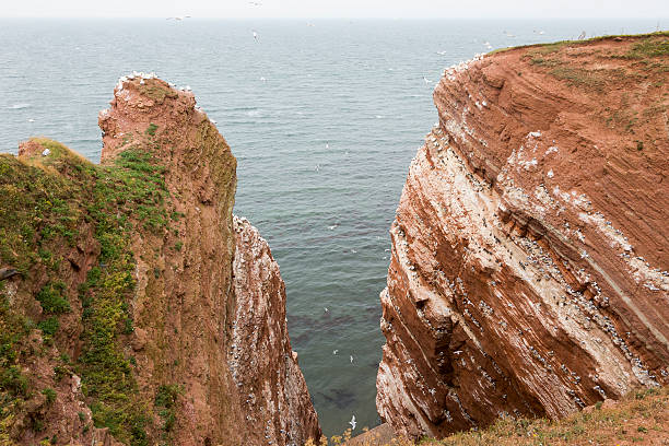 istock Sedimentary rock cliffs from Helgoland Island (Germany) 529871125