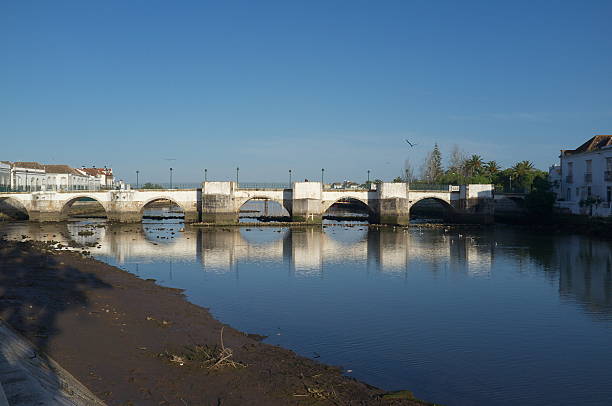 istock bridge span crossing river in tavera portugal 529873765