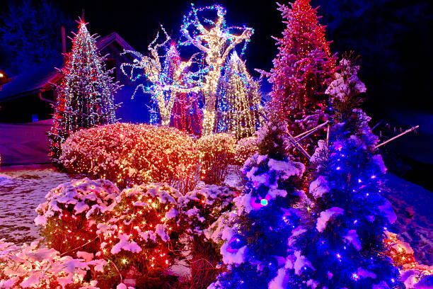 istock Christmas lights in the park 529873903