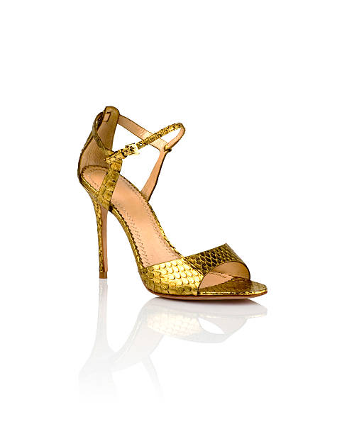 istock Fashionable women shoe 529873991