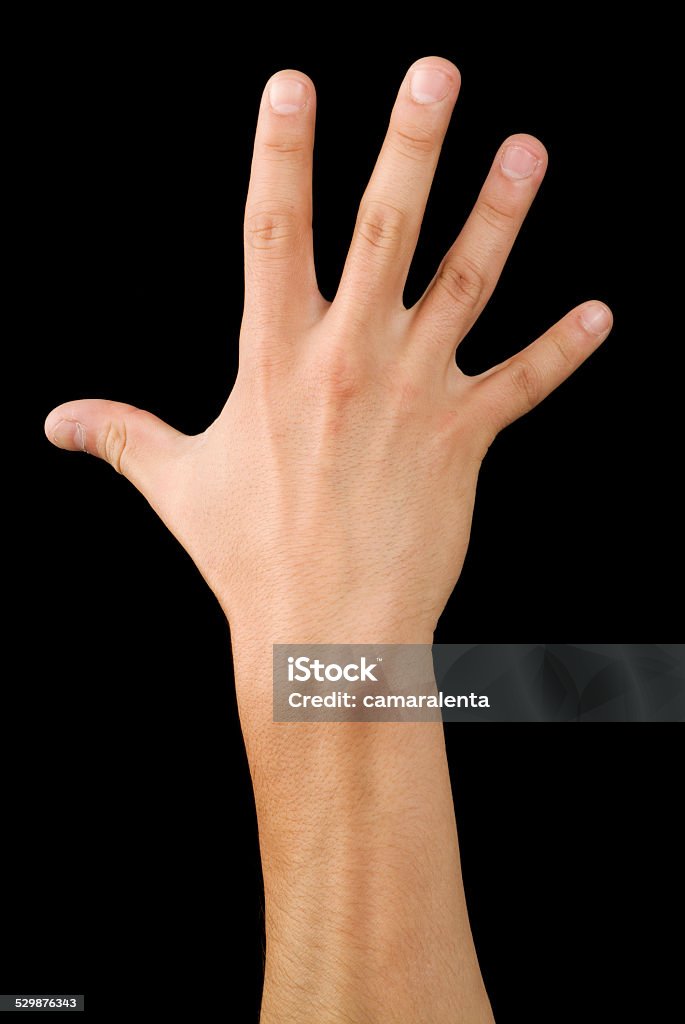 Hand black and white Hand five fingers signal in a black backgrownd Adult Stock Photo