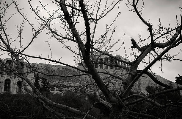 parthenon 