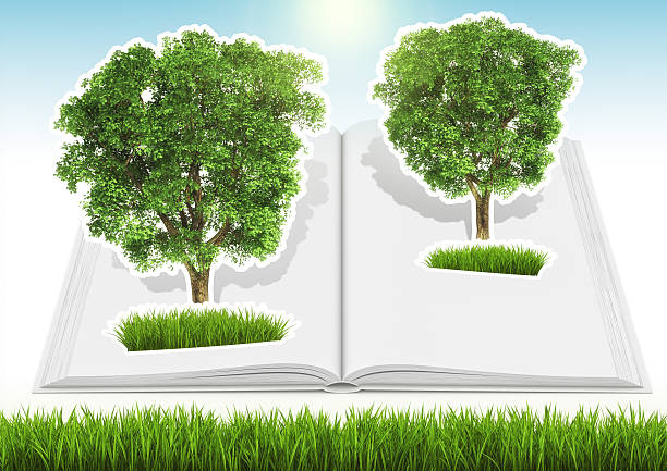 istock Grown tree in open book with grass and sky 529903993