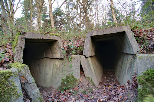 Bunker Ruins