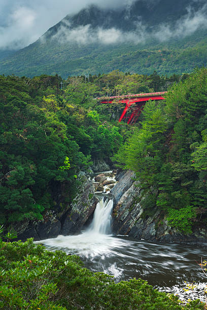 The Toroki Falls (Toroki-no-taki, Troki Falls) on the southern island of Yakushima (Yakushima), Japan.