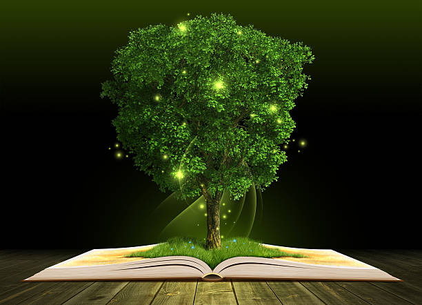 istock Grown tree in open book on dark wooden planks 529917459