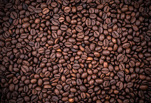 coffee beans - cappuccino coffee bean bean espresso стоковые фото и изображения