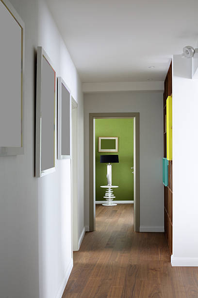 istock interior of bright hallway home 529921407