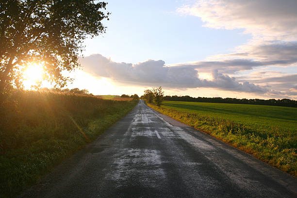 istock Rural road in meadows sunset as a background 529927849
