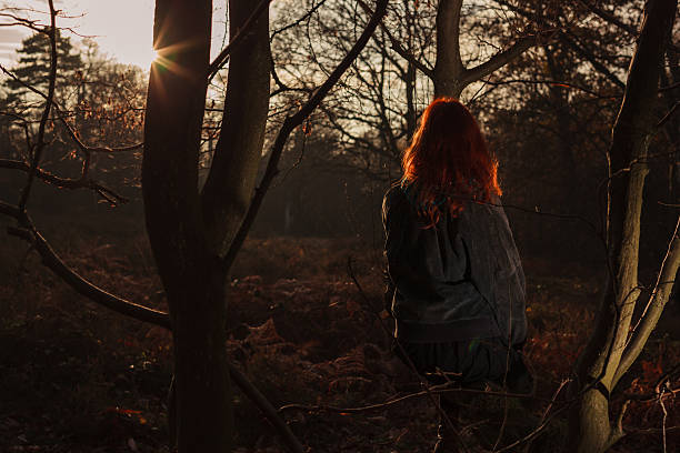 istock Woman admiring sunset in forest 529928313