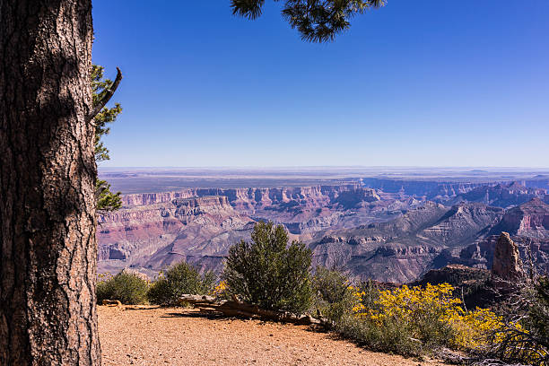 grand canyon national park. versante nord del grand canyon. point da point imperial - north american tribal culture grand canyon indian culture navajo foto e immagini stock